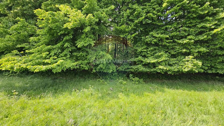 Teren Ilisesti  7000mp extravilan/ DN 17, Suceava - 16