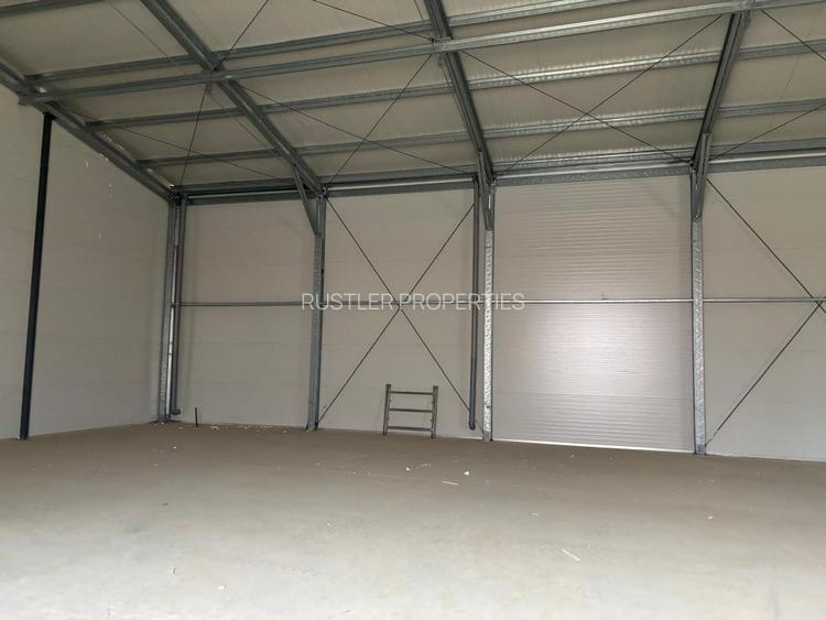 Park Logistic-Jilava - 3