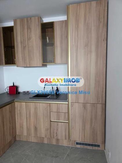 Apartament 2 camere de inchiriat - ONE LAKE CLUB- Floreasca - 3