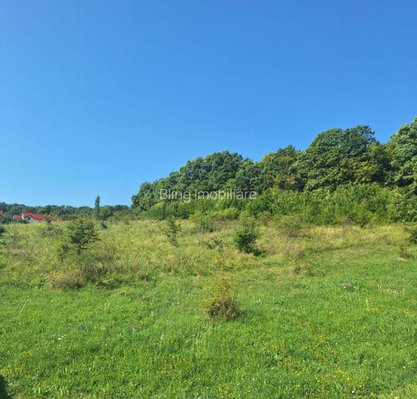 Teren in Chinteni langa padure 1425mp front 70ml - 2