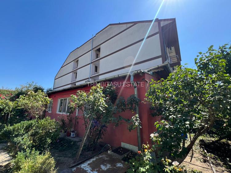 Teren str Renasterii Chitila - 6