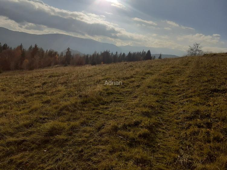Vind casă și teren în satul Costești, comuna Albac județul Alba   - 9