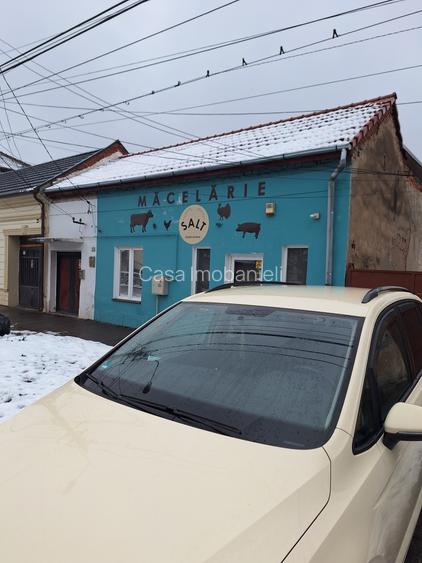 Timisoara-Fratelia,casa de vanzare - 10