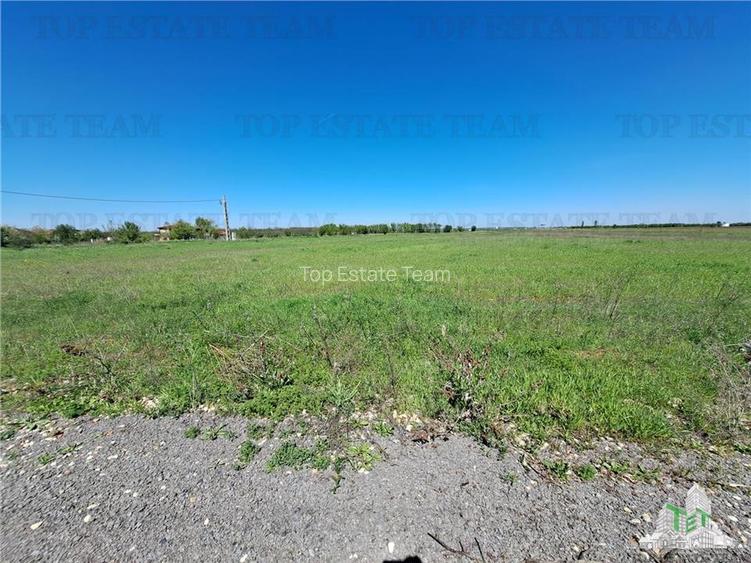 Loturi teren de vanzare Branesti/Vadu Anei - 11