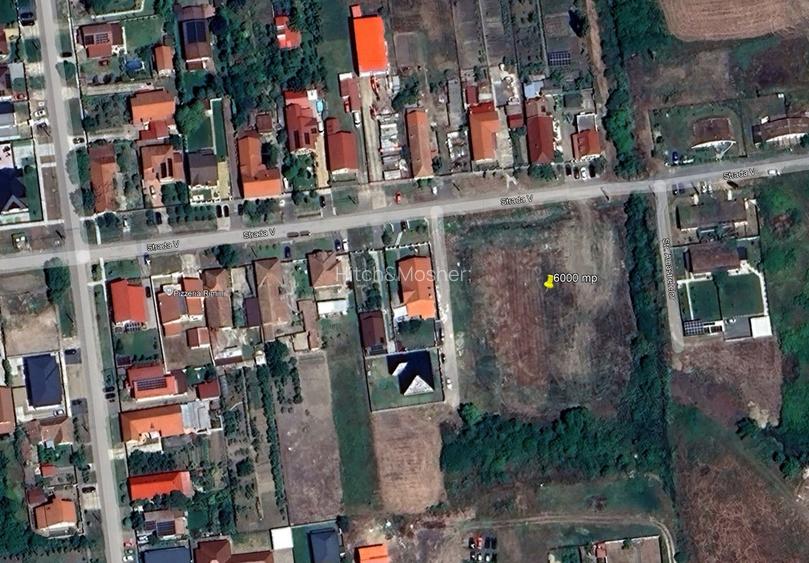 Ocazie! Teren 6.000 mp cu toate utilitățile – Săcălaz, zonă excelentă - 3