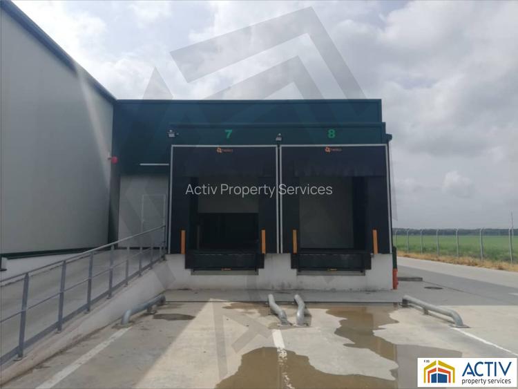 DEPOZIT TEMPERATURA CONTROLATA ALUTI & VALSI COLD STORAGE - 4