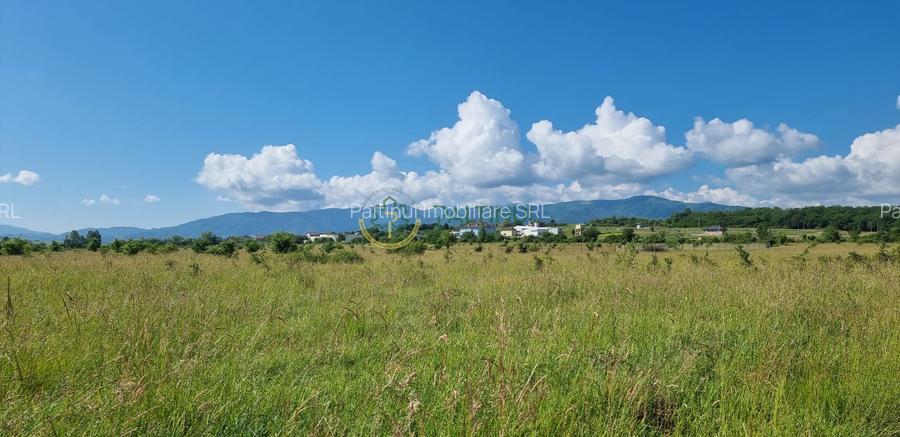 Teren de vânzare în Calea Cisnădiei, Sibiu – 550 mp, PUZ aprobat, vedere superbă - 5