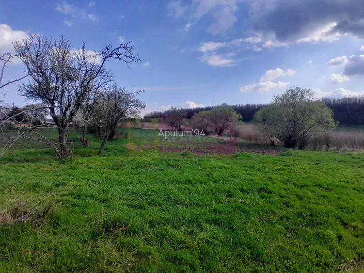 DE VANZARE TEREN 3400 MP IN SAT PODU ILFOVAT / COM BUTURUGENI (GR) - 11