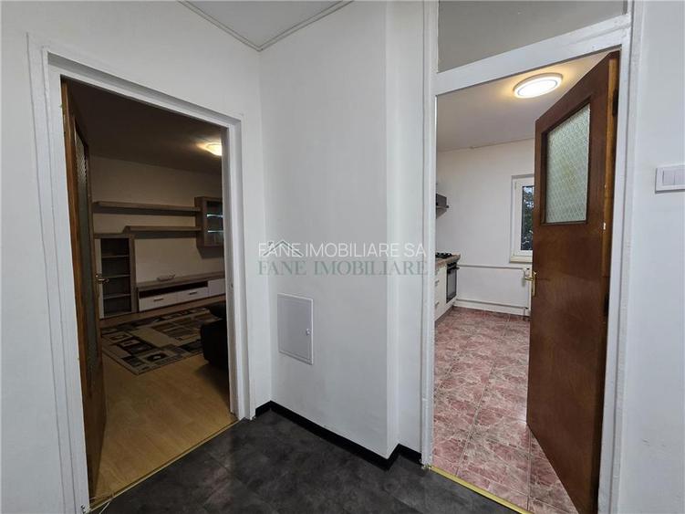 Inchiriere ap. 2 camere, Tei - 19