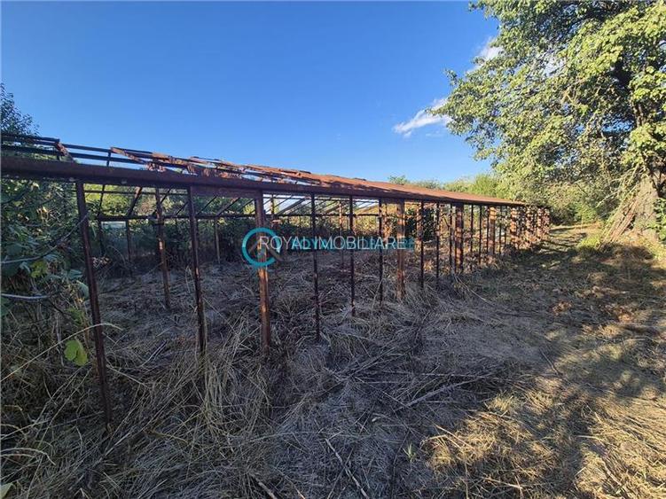 Royal Imobiliare - Vanzare Vila Zona Paulesti - Gageni - 44