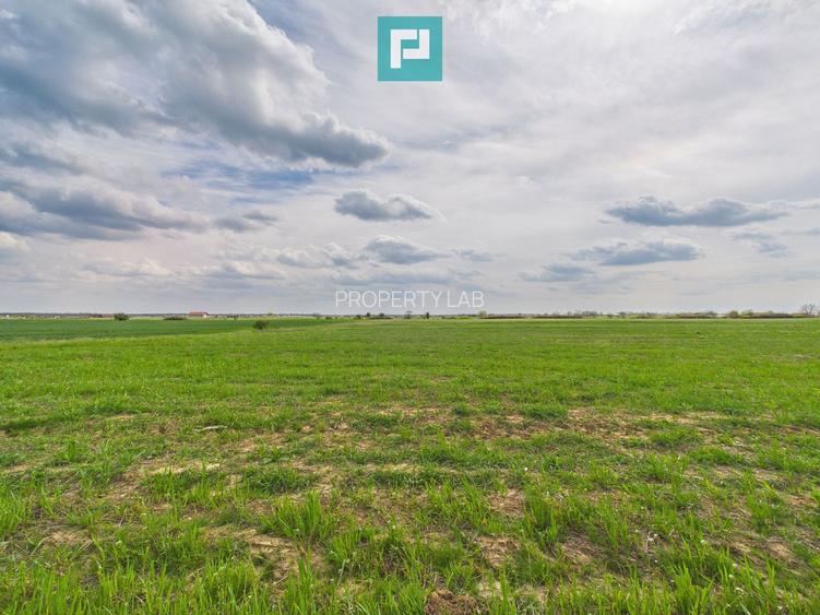 Teren extravilan 2050 mp, Giroc - 3