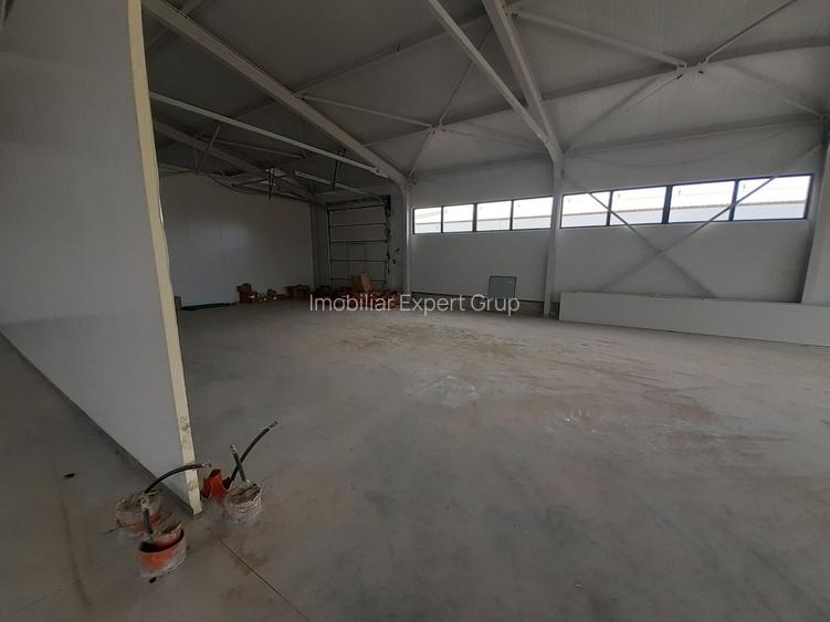 Hale cu suprafete intre 100-560mp in zona Drumul Intre Tarlale - 2