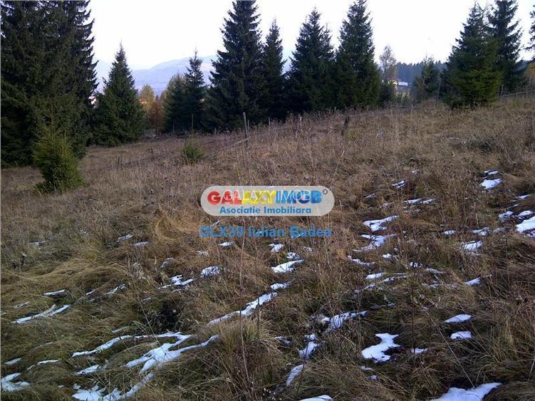 Teren pentru Complex Turistic - 12 730 mp  - Vatra Dornei - 6