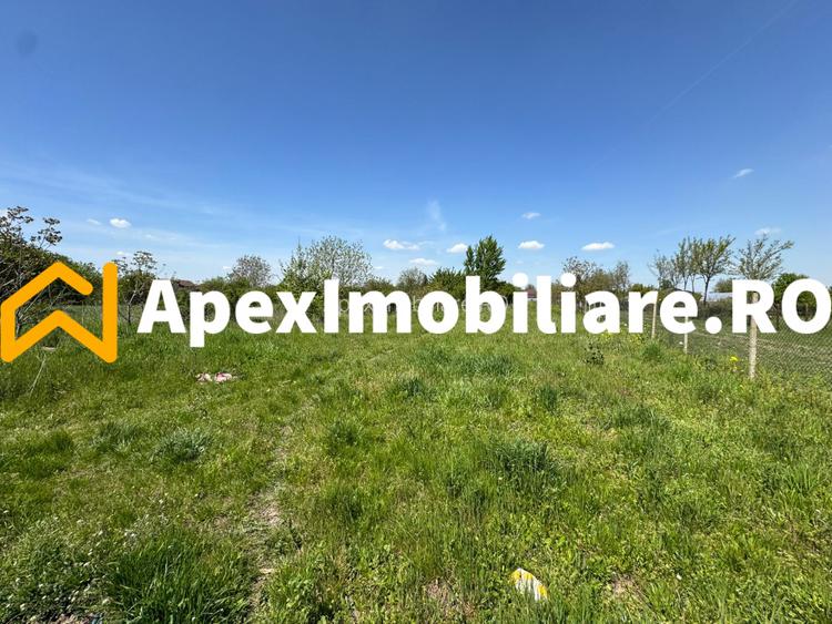 Teren intravilan de vanzare  Cornetu IF | ApexImobiliare.ro - 5