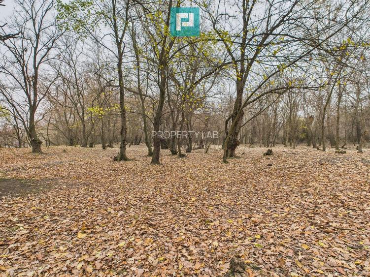 Teren spectaculos la  Periam Port - 13