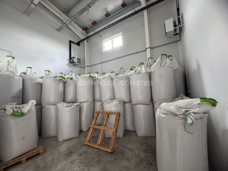 Spatiu logistic si birouri  Crevedia - 7