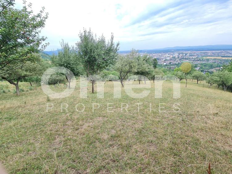 Teren de vânzare | Suprafață 10.040 mp | 2.500 € / ar | Strada Nucului