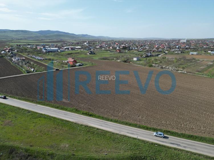 Teren de vânzare, Com. Nicolae Bălcescu, Jud. Bacău - 8