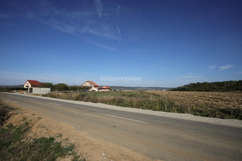 Teren de vânzare în Alparea 6938mp - zonă de interes - 3