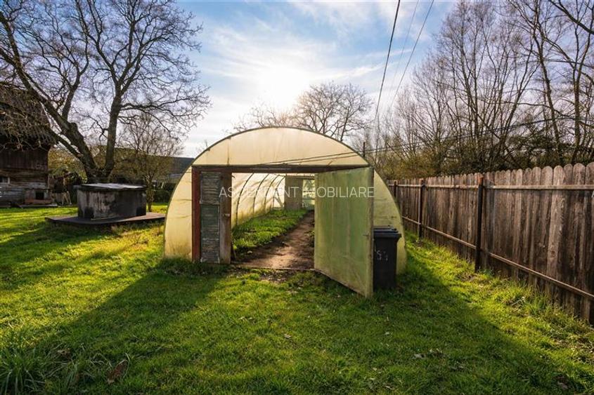 FILM! Casa cu sura, pivnita, balta cu pesti, 2.280 mp teren roditor, Lemnia, Cov - 19