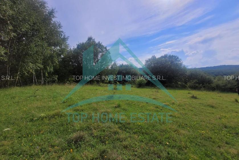 Teren pentru cabana/pensiune zona Lac Micesti! - 2