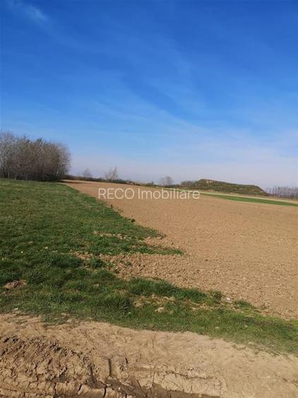 RECO Teren Santion - 2