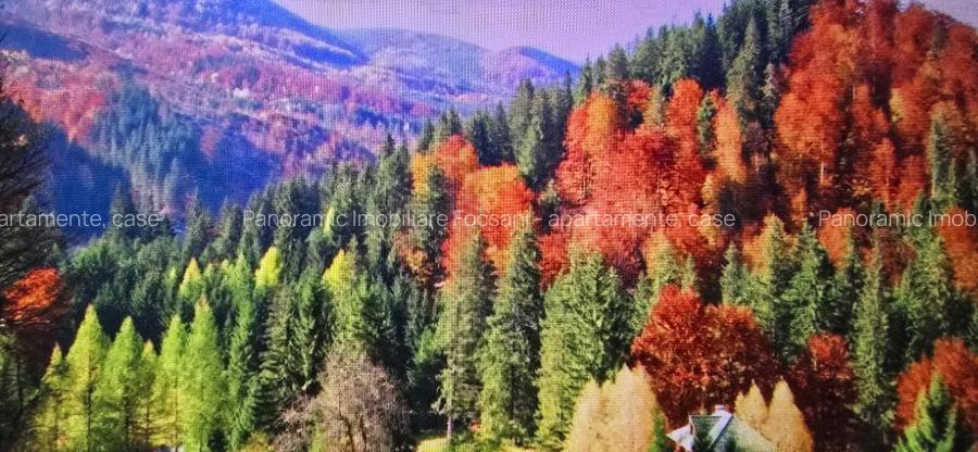 Teren de vanzare Lepsa-Gresu, 57000 mp, cu doar 1 euro/mp - 12