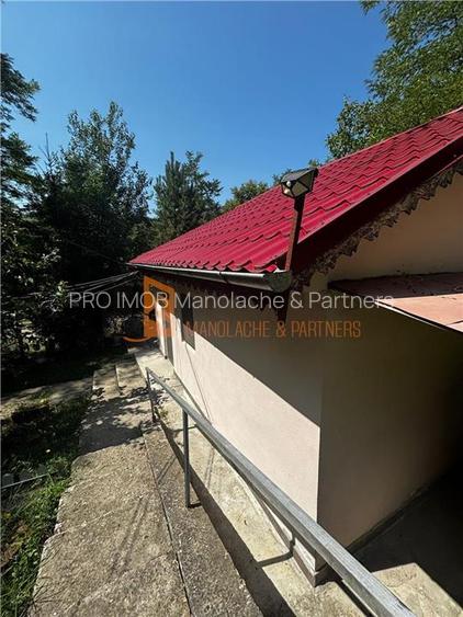 Ansamblu cabanute zona Cozieni - 21