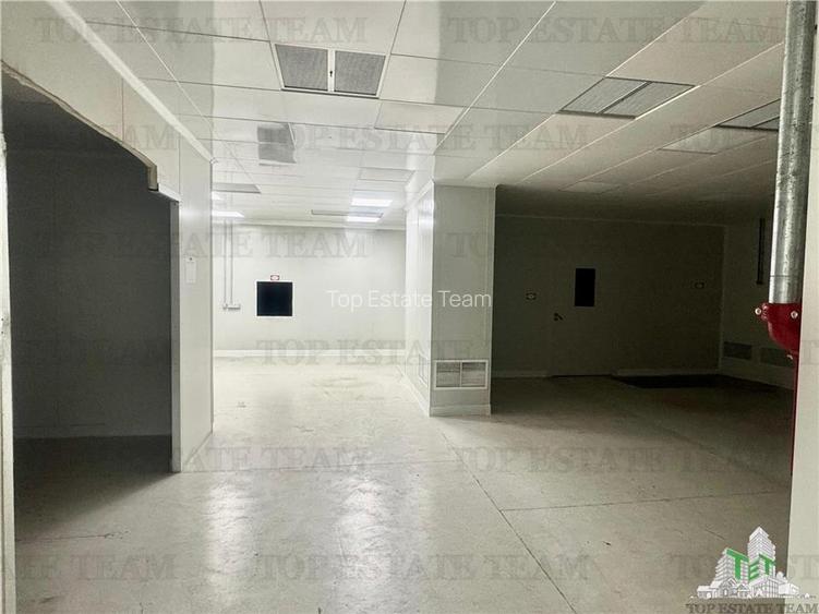 Spatiu industrial de inchiriat Central /  Vitan - 10