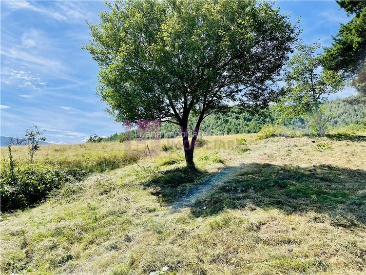 Teren 3581 mp | Marginimea Sibiului | priveliste superba - 10