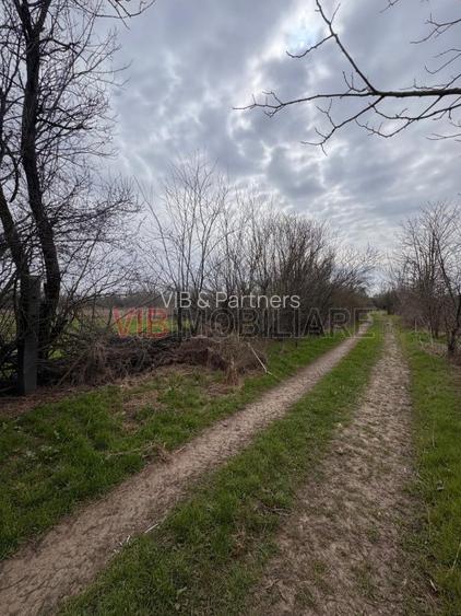 Jilava - Centura Bucuresti - teren intravilan 423 mp - 5