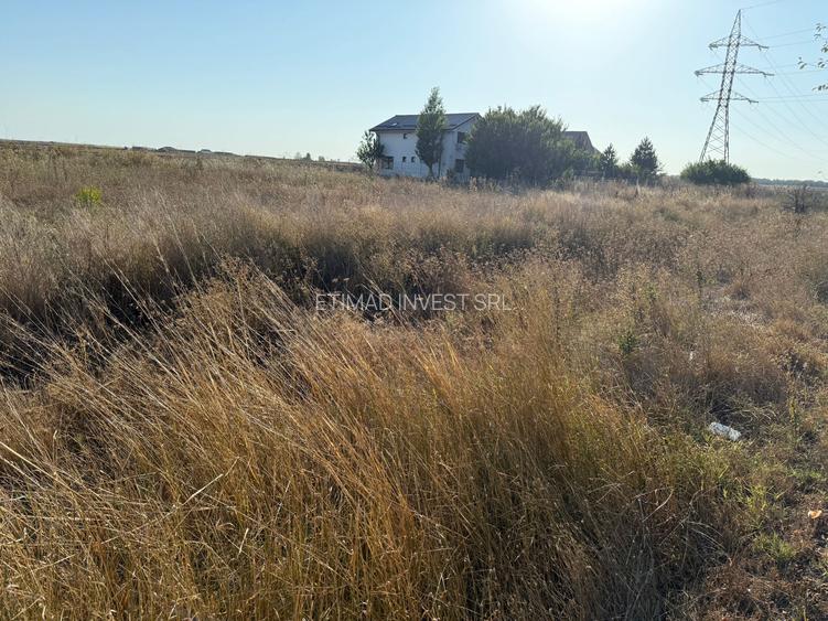 COSTINESTI - 500 MP x 2 LOTURI - INTRAVILAN - 16