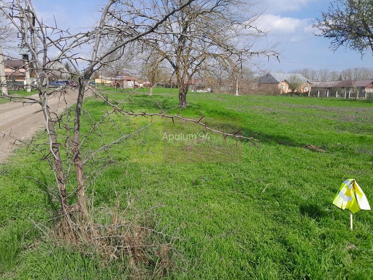 DE VANZARE TEREN 3400 MP IN SAT PODU ILFOVAT / COM BUTURUGENI (GR) - 33