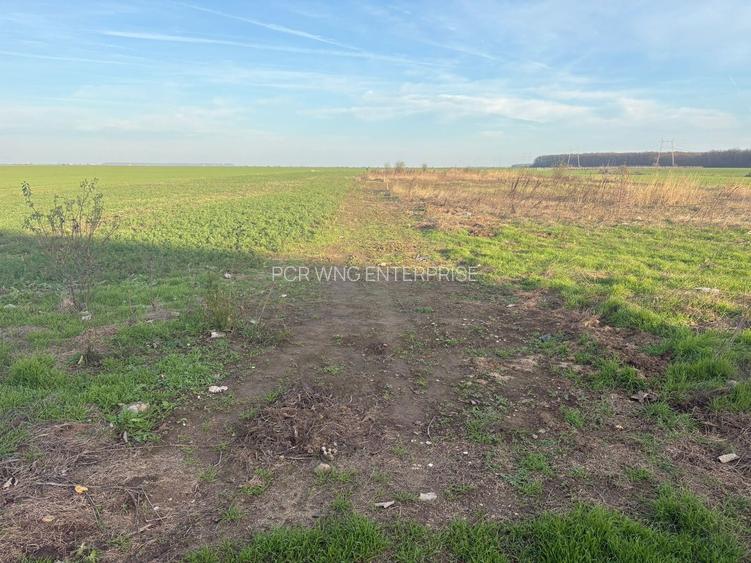 11 loturi de 507 mp (cota drum inclusa) – Strada Traian, Vadu Anei - 4