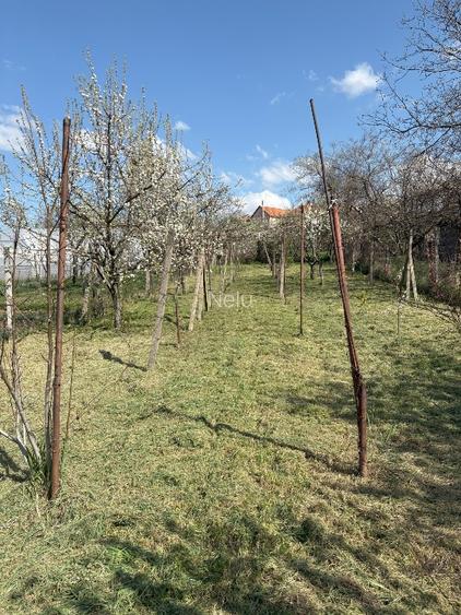 De vanzare casa cu teren pe strada Depoului la nr. 43 - 3