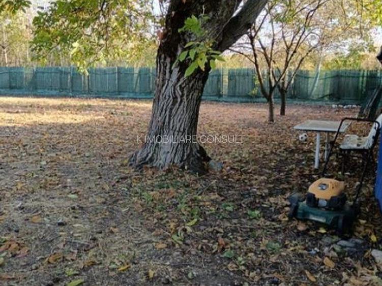 Buftea - Domeniul Stirbey - 4