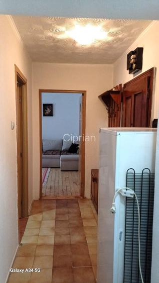 Apartament cu 2 camere, complet renovat, vedere superbă Băile Herculane - 2