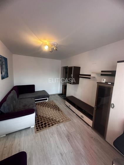 Apartament cu 2 camere, PET FRIENDLY, zona Alexandru Cel Bun - 2