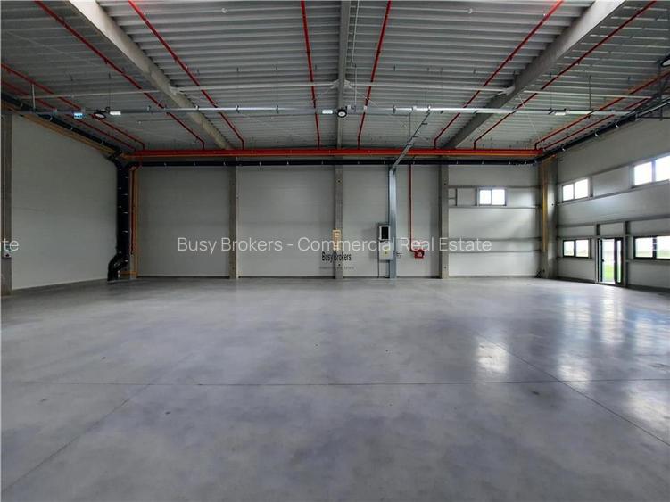 Spatiu Industrial - 4500 mp - Logistica - Productie - Depozitare - 22