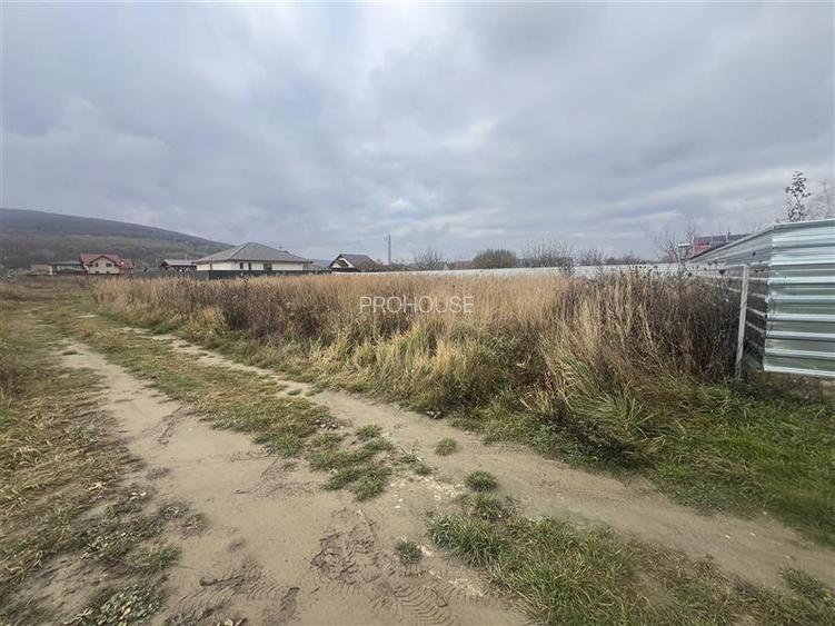 Hemeius- teren 500 mp- 18 ml deschidere! - 6