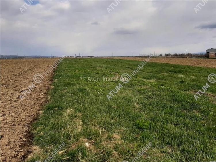 eren intravilan 1400 mp de vanzare pe Valea Avrigului - 4