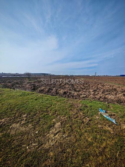 Teren de Vanzare Industrial Caciulati A3 - 8