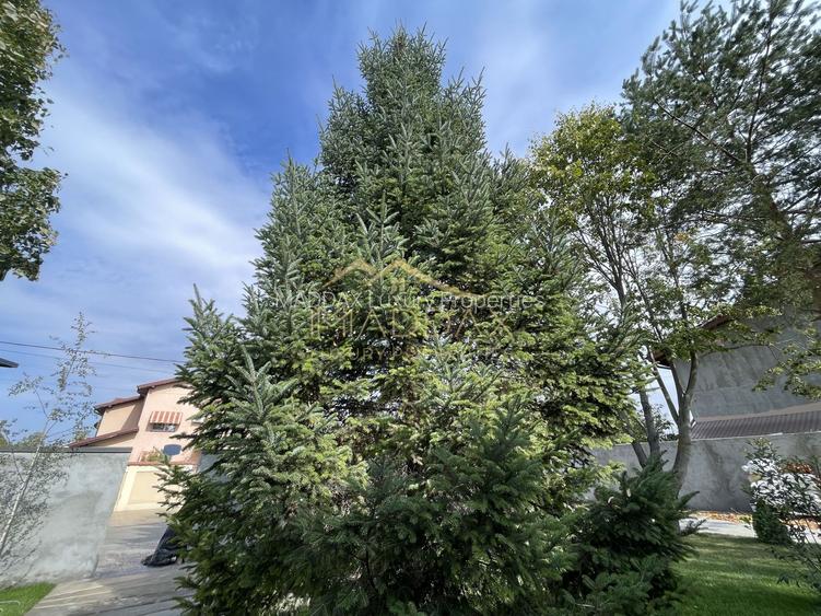 Vila cu 5 camere // * 565 mp gradina* // Tunari - 59