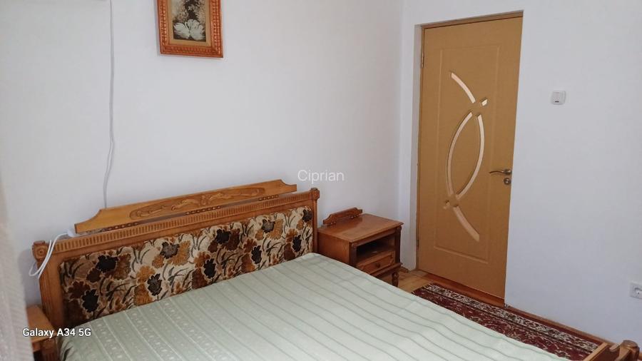 Apartament cu 2 camere, complet renovat, vedere superbă Băile Herculane - 11