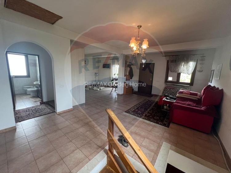 Casa - plantatie aluni  41300mp - 16