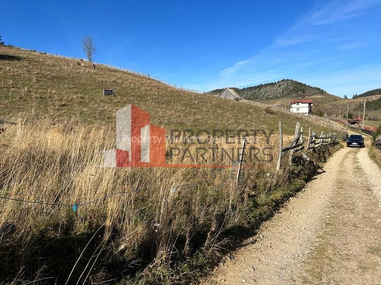 Teren Fundatica intravilan 4500 mp - 16