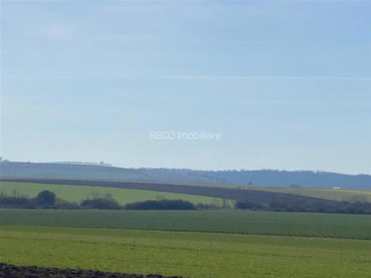 RECO Teren  pentru investitie  4ha Tauteu-Zona Autostrazii Transilvania - 2