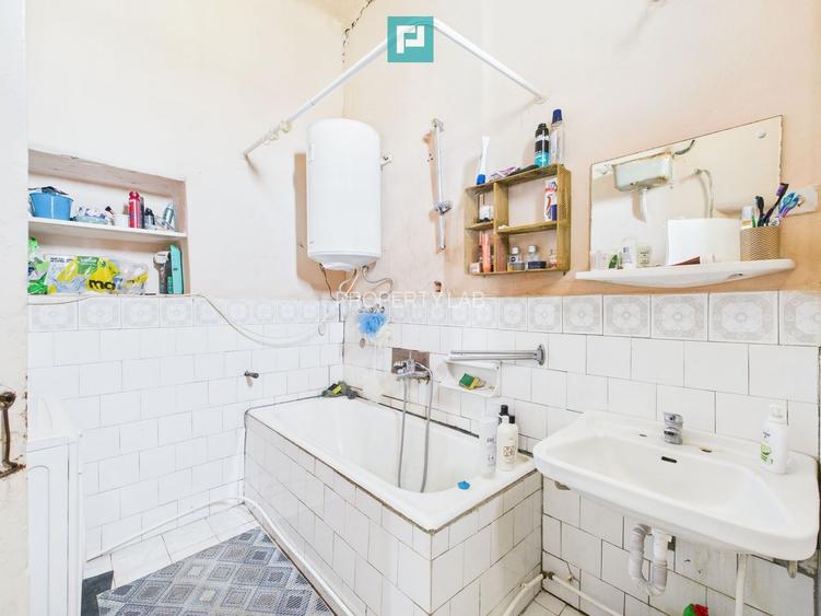 Casă cu grădină mare la 30 km de Timișoara - 8