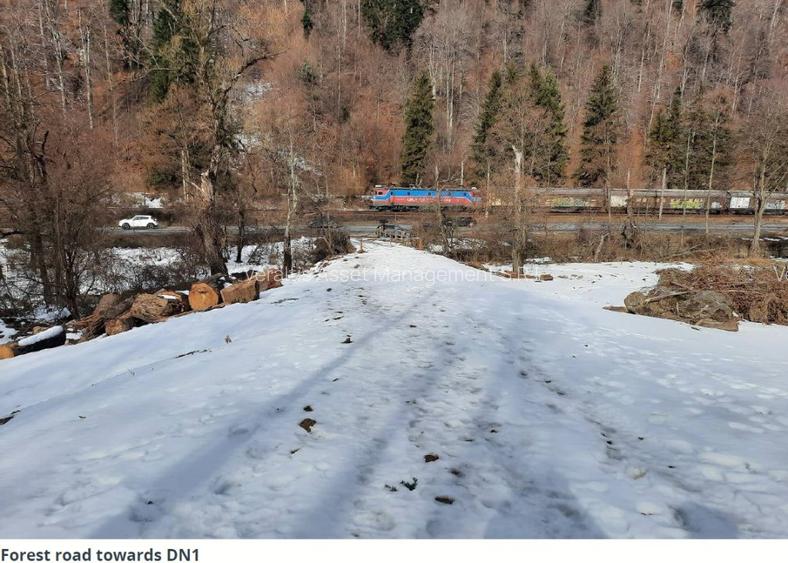 De vanzare teren intravilan 4.500 mp, Timisul de Jos, langa DN1 si PETROM - 7