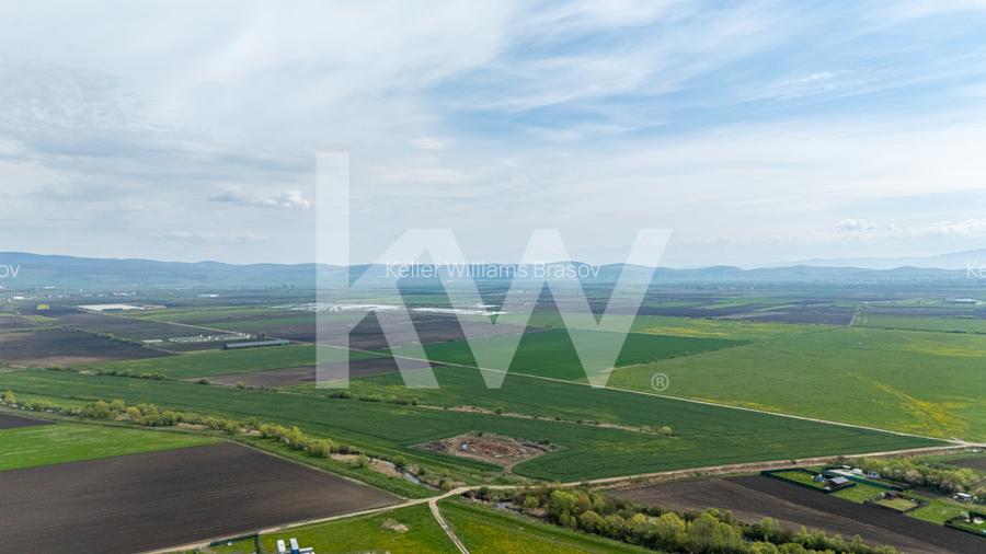 Teren intravilan de vanzare - Halchiu - 12